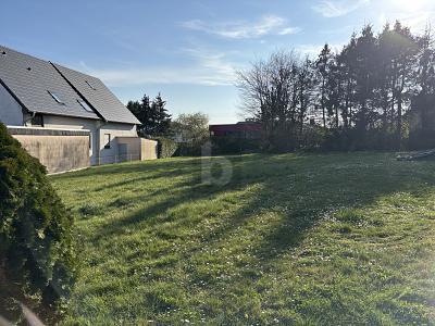 Foto - Grundstück in Trierweiler