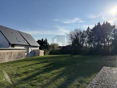 Foto - Grundstück in Trierweiler zum Kaufen