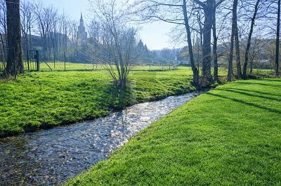 Foto - Grundstück in Untersteinach zum Kaufen