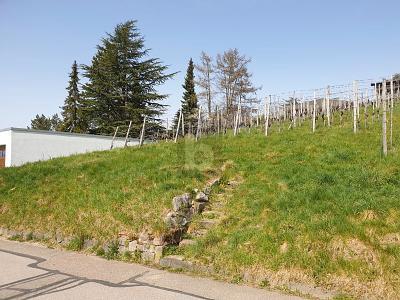 Foto - Grundstück zum Kaufen in Bühlertal