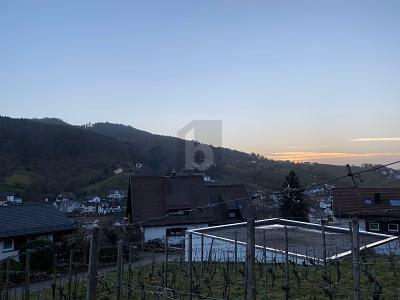 Foto - Grundstück in Bühlertal