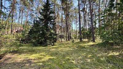 Foto - Grundstück zum Kaufen in Gorleben