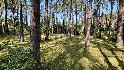 Foto - Grundstück in Gorleben