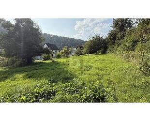 VIEL PLATZ FÜR IHRE BAUPLÄNE - 100.000,00&nbsp;EUR Kaufpreis, ca.&nbsp; 2.035,00&nbsp;m&sup2; in Staufenberg (PLZ: 34355)