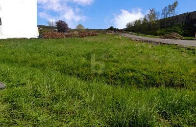 Foto - SCHÖNES GRUNDSTÜCK IN VOXTRUP - 275.000,00 EUR Kaufpreis, ca.  625,00 m²