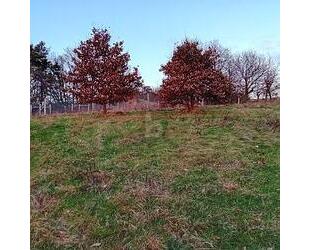 BAUEN MIT BLICK INS ALFTAL - 89.500,00&nbsp;EUR Kaufpreis, ca.&nbsp; 1.404,00&nbsp;m&sup2; in Kinderbeuern (PLZ: 54538)