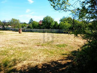 Foto - EXKLUSIVES PANORAMA IN ALLEINLAGE