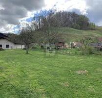 NATUR PUR MIT RUHE UND AUSBLICK - Schönenberg