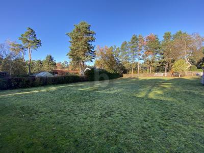 Foto - Grundstück in Wandlitz