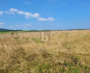 IHR WEG ZUM EIGENHEIM IN IDYLLISCHER EIFFELLAGE - Großlittgen