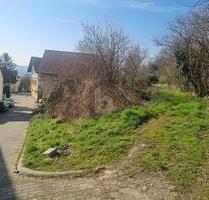 IHR TRAUM VOM HAUS, RUHIG AM FELDRAND - Ensheim