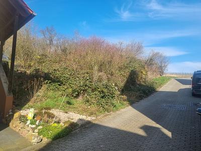 Foto - Grundstück zum Kaufen in Ensheim