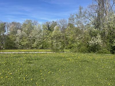 Foto - Freizeitgrundstück in Berg