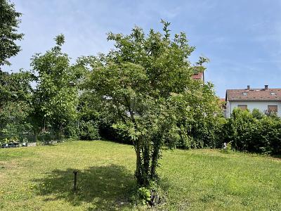 Foto - TRAUM VOM EIGENHEIM VERWIRKLICHEN