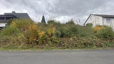 Foto - Grundstück zum Kaufen in Borken