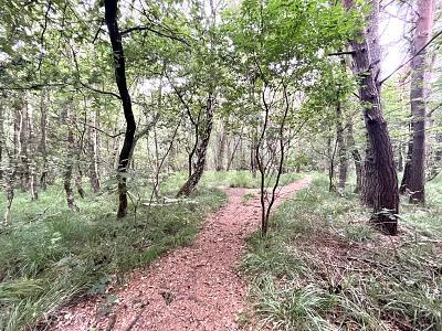 Foto - Freizeitgrundstück in Pinneberg