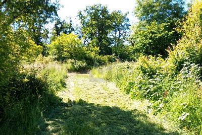 Foto - Grundstück in Blankenburg