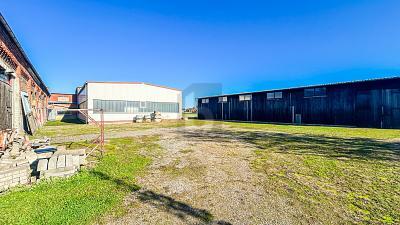 Foto - 5 Zimmer Halle in Ilsede