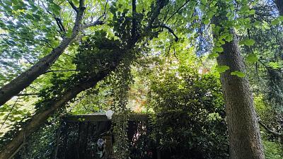 Foto - Grundstück mit 270,00 m&sup2; in Hamburg Farmsen-Berne zum Kaufen