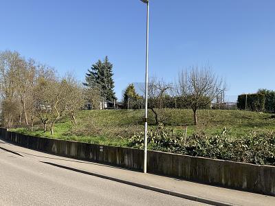 Foto - BAUPLATZ FÜR EIN MEHRFAMILIENHAUS