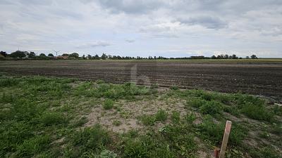 Foto - Grundstück in Fehmarn zum Kaufen