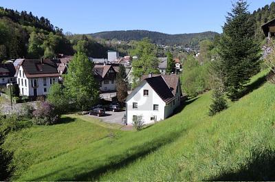 Foto - 6 Zimmer Einfamilienhaus zum Kaufen in Alpirsbach