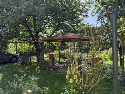Foto - 5 Zimmer Einfamilienhaus in Beeskow