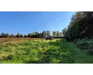 TRAUMHAFTE RUHE, PERFEKTE RÜCKZUGSOASE - Lilienthal