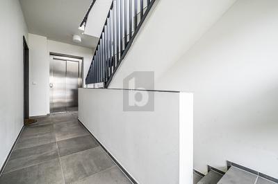 Foto - 6 Zimmer Mehrfamilienhaus, Wohnhaus zum Kaufen in Hamburg Schnelsen