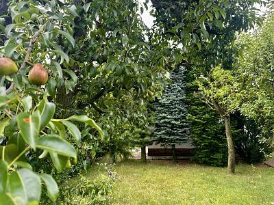 Foto - 3 Zimmer Einfamilienhaus zum Kaufen in Berlin-Weißensee