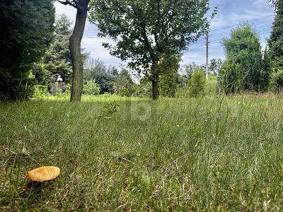 Foto - Einfamilienhaus mit 50,00 m² in Berlin-Weißensee zum Kaufen