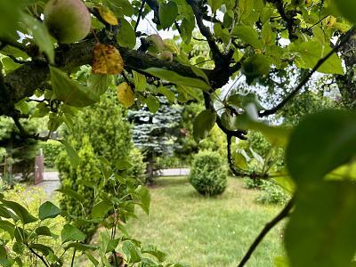 Foto - 3 Zimmer Einfamilienhaus in Berlin-Weißensee