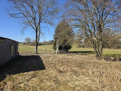 Foto - Grundstück in Hilgertshausen-Tandern