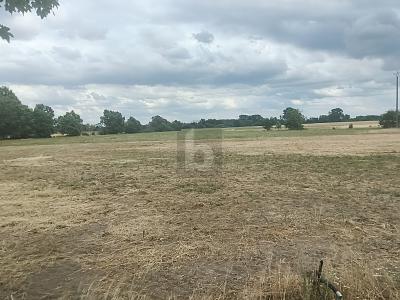 Foto - Grundstück zum Kaufen in Dreiheide