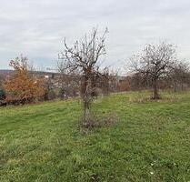 GRÜNE WOHNLAGE ZUM NEUBAU - 143.100,00&nbsp;EUR Kaufpreis, ca.&nbsp; 954,00&nbsp;m&sup2; in Schönbrunn (PLZ: 96185)