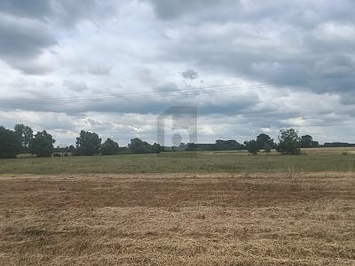 Foto - Grundstück zum Kaufen in Dreiheide