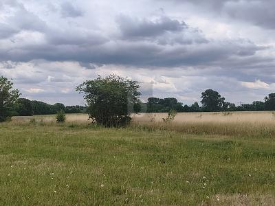 Foto - Grundstück in Dreiheide zum Kaufen