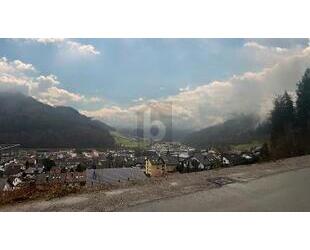 RUHIG UND NATURNAH MIT POSTKARTENPANORAMA - Wolfach