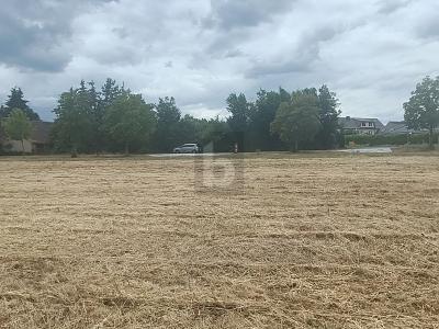 Foto - Grundstück zum Kaufen in Dreiheide