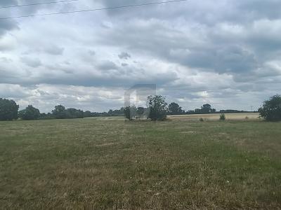 Foto - Grundstück in Dreiheide