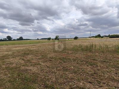 Foto - Grundstück zum Kaufen in Dreiheide