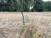 Foto - Grundstück in Dreiheide zum Kaufen