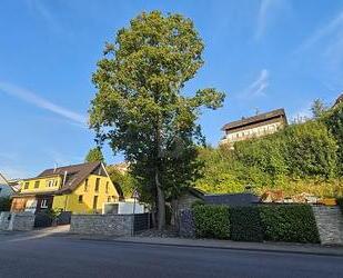 VIELSEITIGER RAUM FÜR LEBEN UND ARBEIT IN TOP-LAGE - Steinheim an der Murr