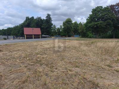 Foto - Grundstück in Dreiheide zum Kaufen