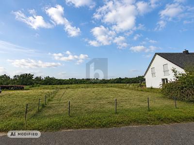 Foto - FELDRANDLAGE MIT FREIEM BLICK INS GRÜNE