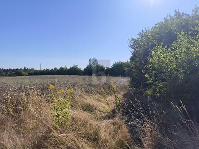 Foto - VERMÖGENSANLAGE MIT ENTWICKLUNGSPOTENZIAL
