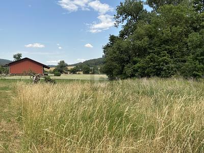 Foto - Grundstück zum Kaufen in Haigerloch
