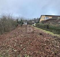 TOP LAGE + PREIS, 2 GRUNDSTÜCKE,EINZELVERKAUF - Lieser