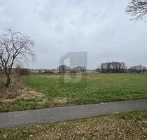 SONNIGES WEIDEPARADIES FÜR TIERHALTUNG - Wilstedt