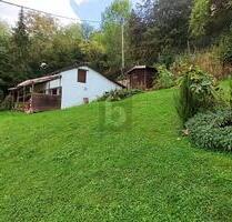 ROHDIAMANT - NATURGUNDSTÜCK MIT BESTAND - Gerlingen